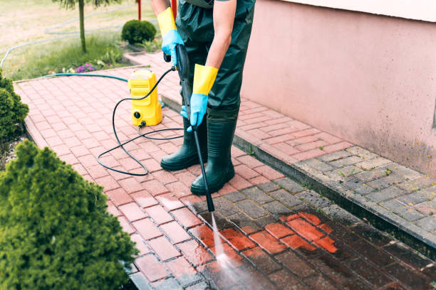 Best Roof Pressure Washing  in Clifton Forge, VA