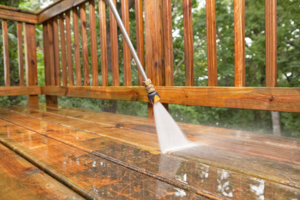 Best Exterior Home Cleaning  in Clifton Forge, VA